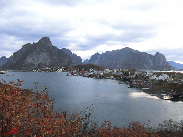 タラ漁の中心地、レイネ全景