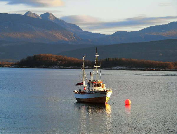 夕日に光る小型漁船