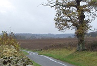 雨のイングランド丘陵地帯