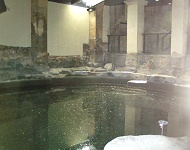 ローマ風呂には何種類もの浴槽がある