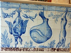 �^�C�������ق̐H���ɂ͂���ȃ^�C����������