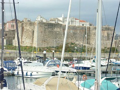 �J�X�J�C�X�̃��b�g�n�[�o�[�ƒ����̏��