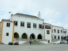 �V���g���̉Ă̗��{