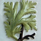 �������^�C��