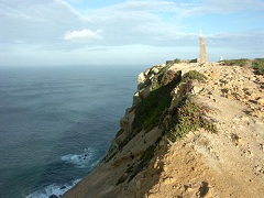 ���B�Ő��[�̖��ɗ��\����