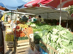 ���H�����Ō������������Ȕ_���s��