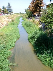 川に沿って遡ると細い流れに変わる