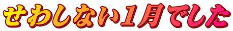 せわしない1月でした